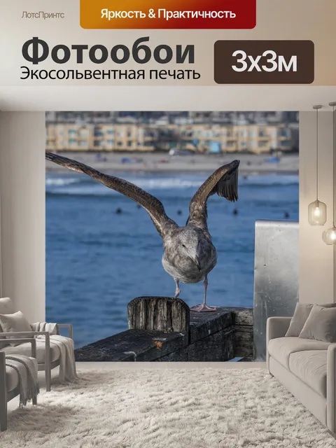 Фотообои Молодая чайка на пирсе