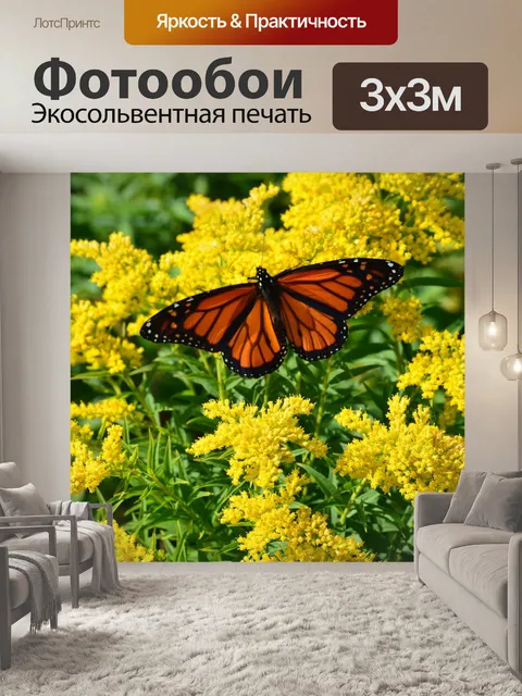 Фотообои Монарх