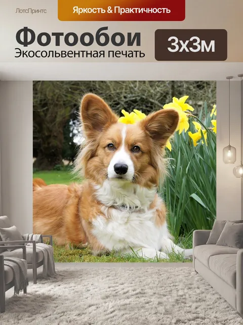 Фотообои Собака
