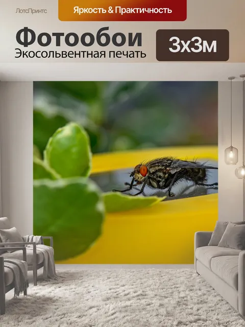 Фотообои Bluebottle