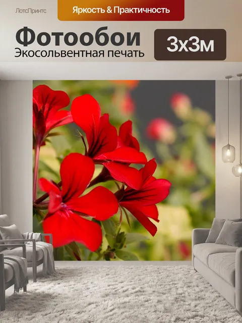 Фотообои Герань