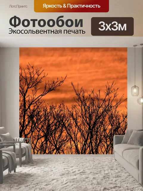 Фотообои Заход солнца