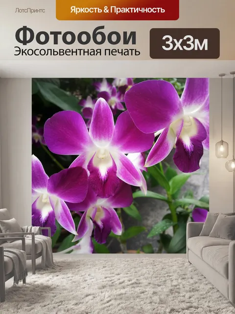 Фотообои Розовый цветок орхидеи цвести