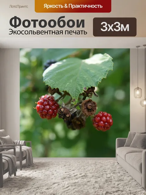 Фотообои Голубая малина