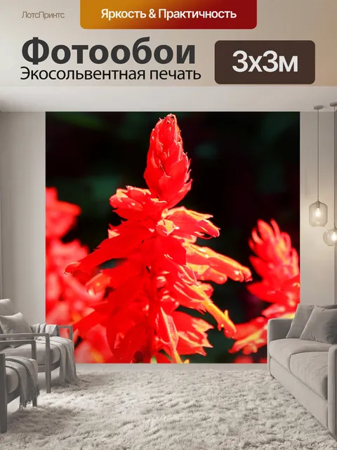 Фотообои Россия