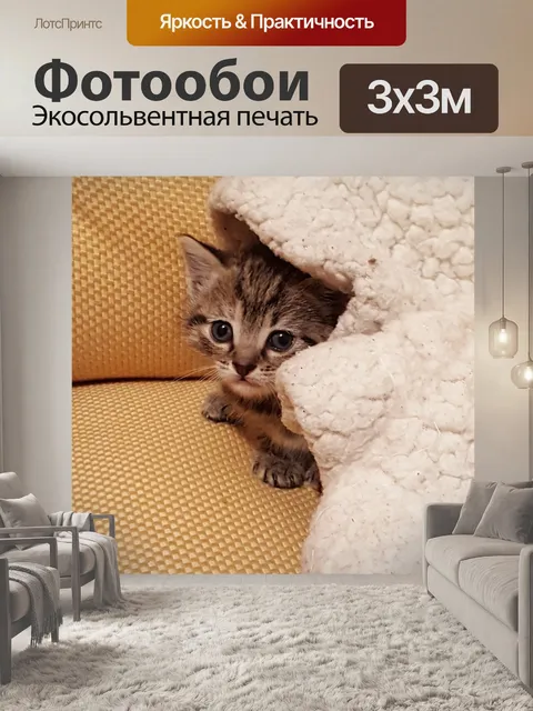 Фотообои Кошка