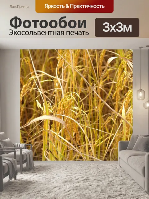 Фотообои Зрелый урожай золотого риса