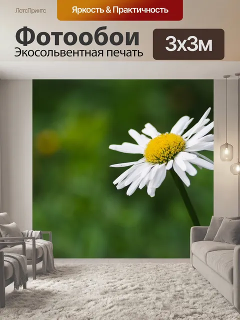 Фотообои Цветок