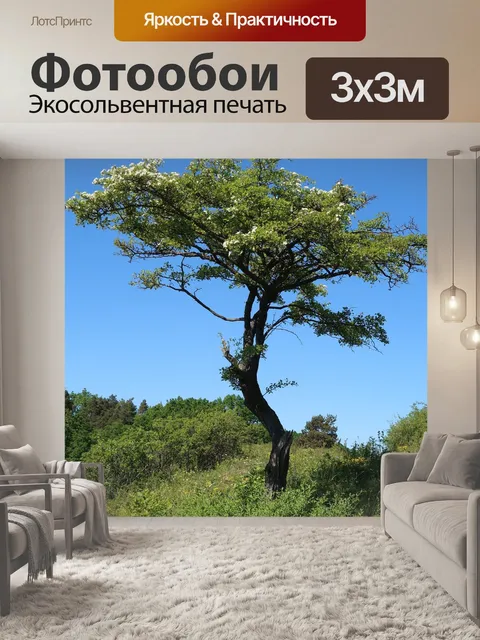 Фотообои Природа