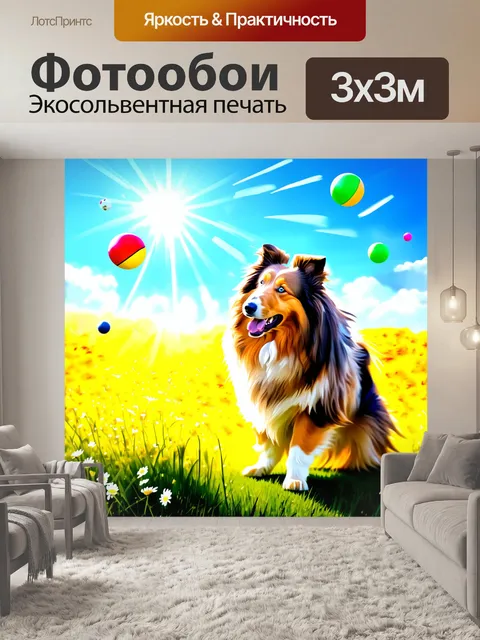 Фотообои грубая колли, играющая с летающими мячиками на фоне яркого цветущего поля