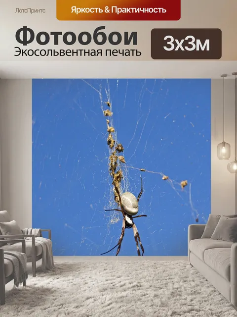 Фотообои Золотой шар паук