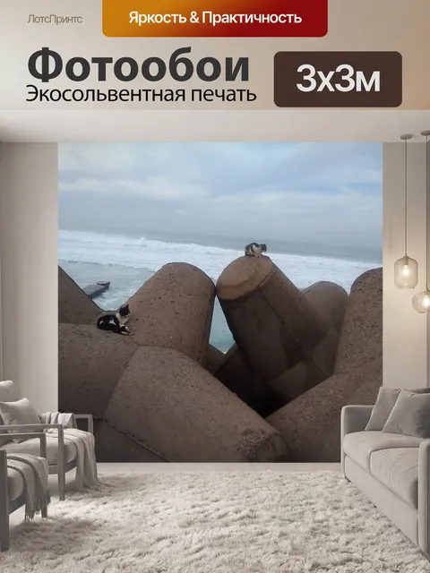 Фотообои кошки