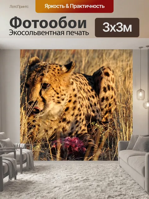 Фотообои Африке