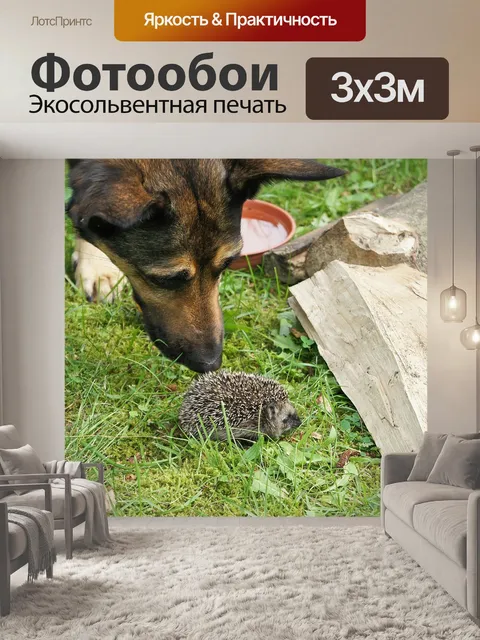 Фотообои Трава