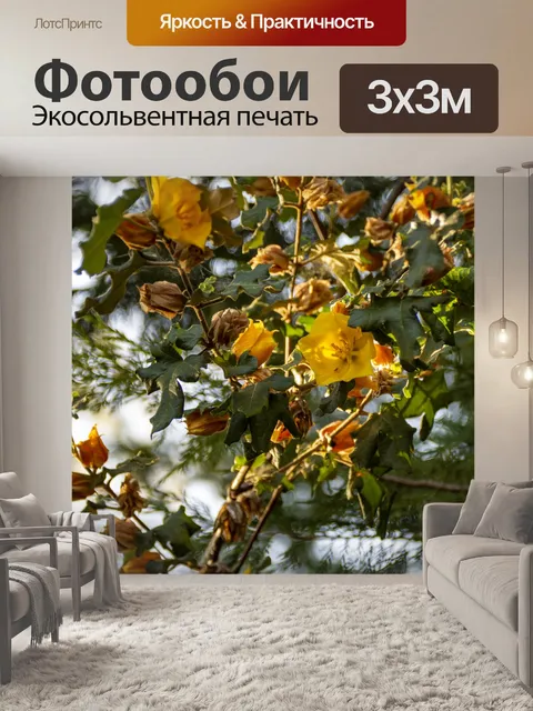 Фотообои Желтое цветущее дерево