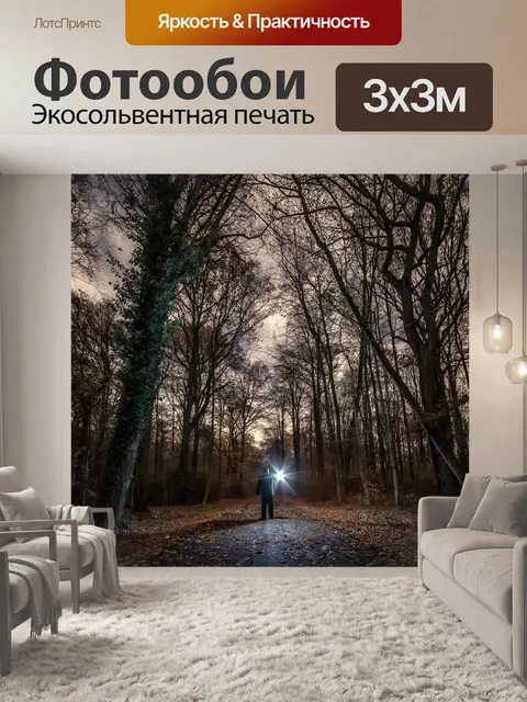 Фотообои Ночь