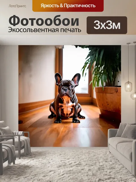 Фотообои щенок французского бульдога сидит на шершавом деревянном полу в стильном интерьере