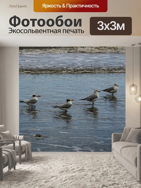 Фотообои крачки птицы в океане