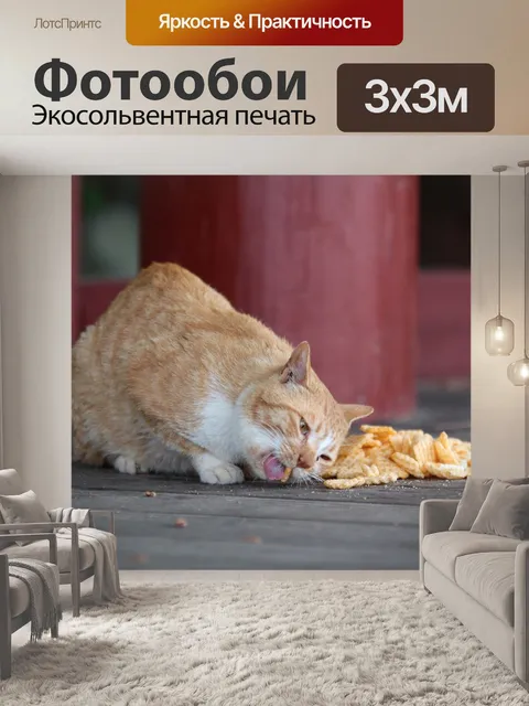Фотообои Кошка