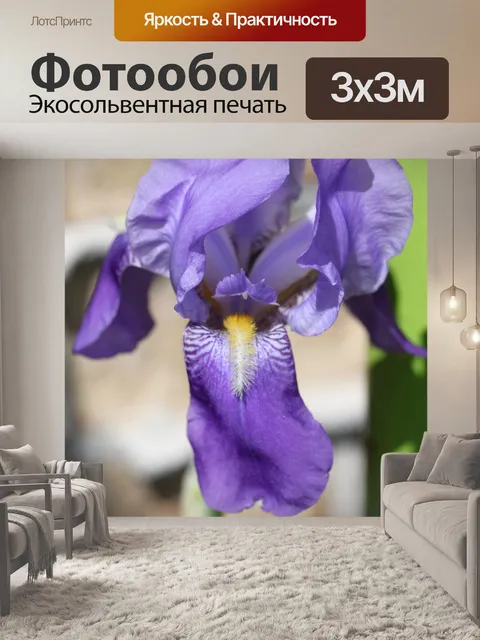 Фотообои Ирис