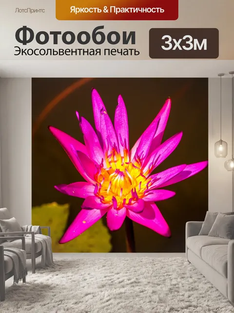 Фотообои Цветок лотоса