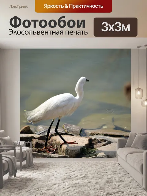 Фотообои Аист 3