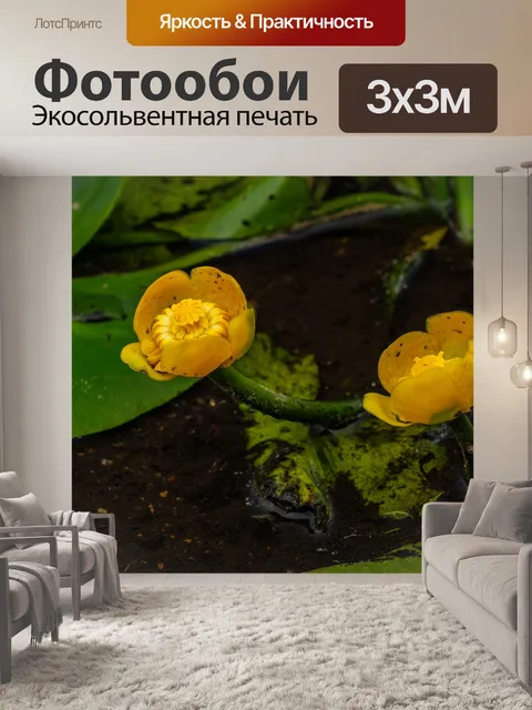 Фотообои Желтый