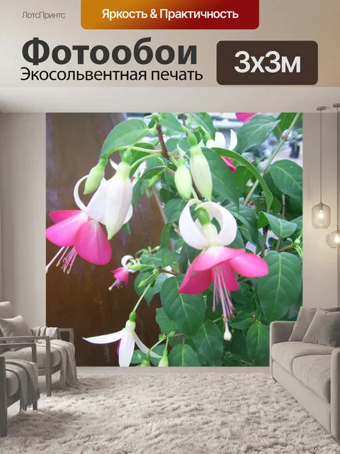 Фотообои Розовый Фуксия