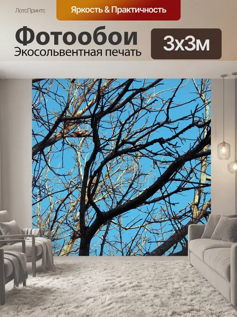 Фотообои Дятел