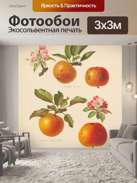 Фотообои Яблоки фрукты винтажные