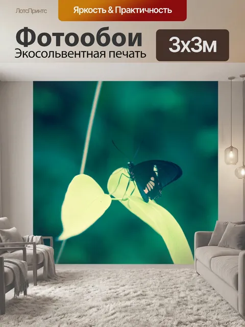 Фотообои бабочка