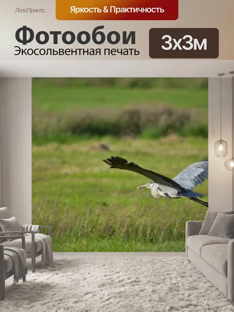 Фотообои Поймать рыбу 10