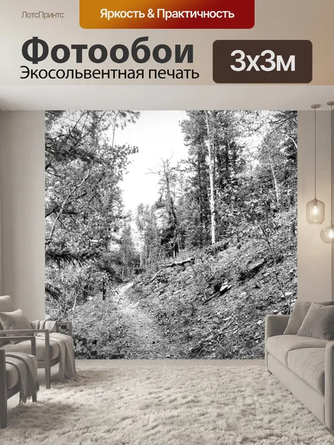 Фотообои Лесная тропинка