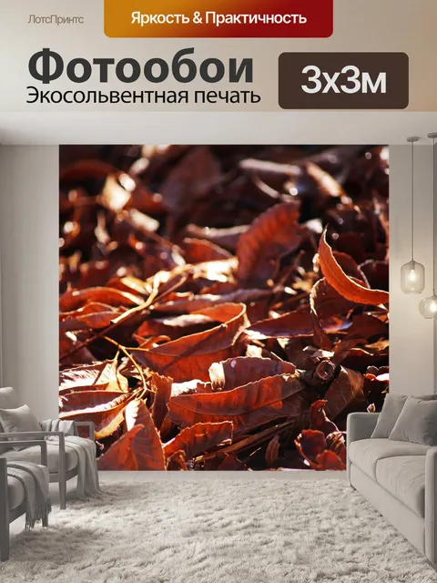 Фотообои солнечный свет на листьях пекана краснов