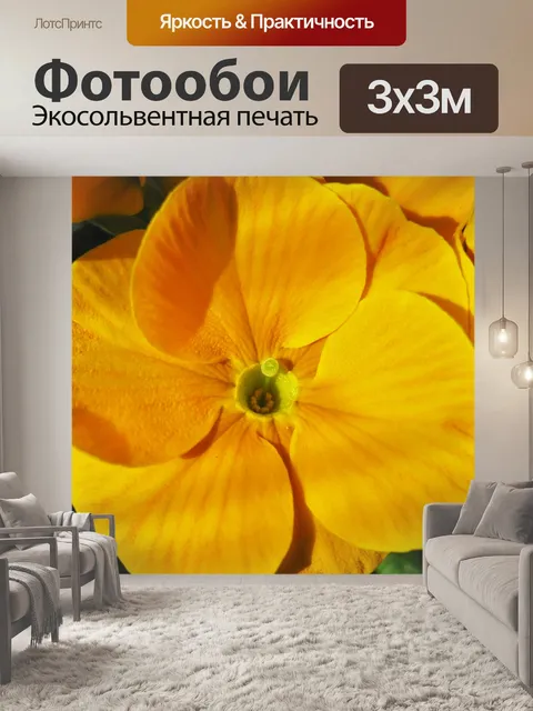 Фотообои Желтая примула