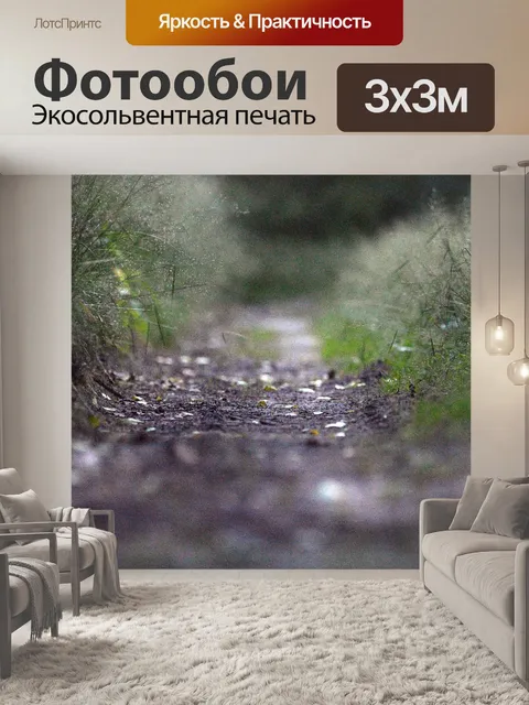 Фотообои Путь