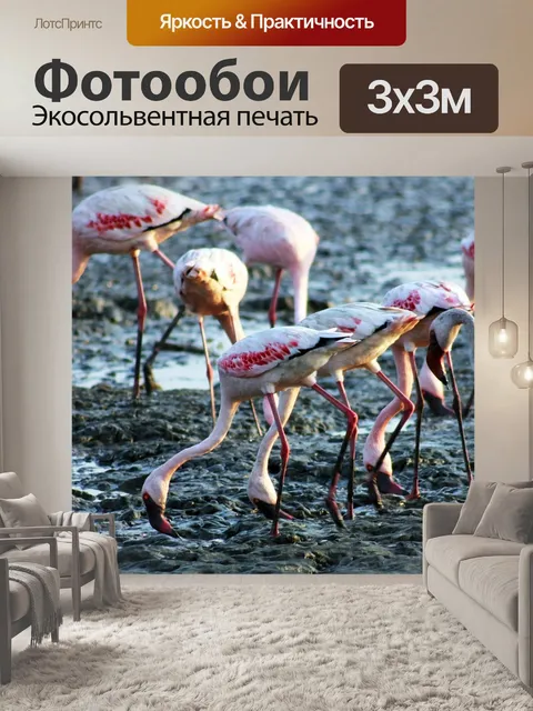 Фотообои Фламинго