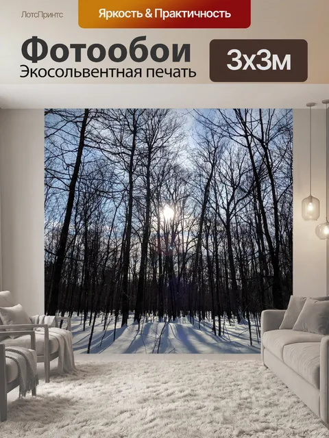 Фотообои Зимний лес
