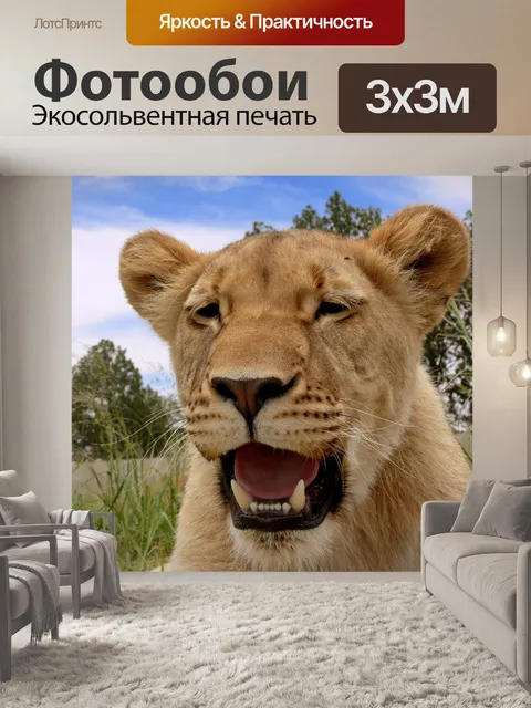 Фотообои Львица задыхаясь