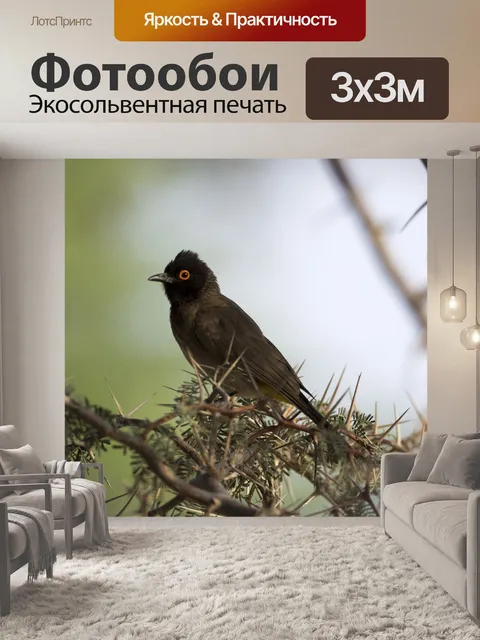 Фотообои Черная птица