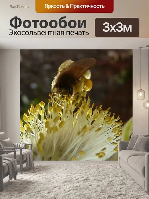Фотообои Пчела