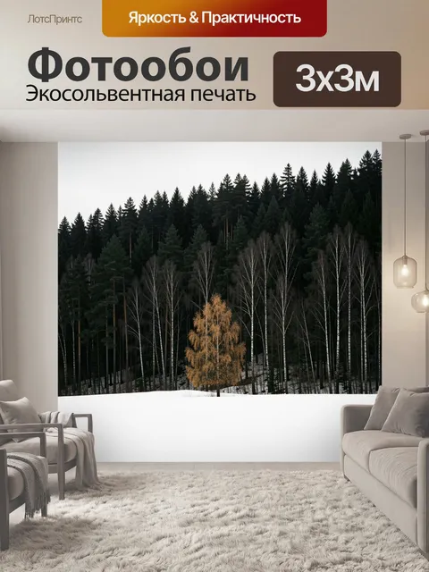 Фотообои Зимний лес на склоне