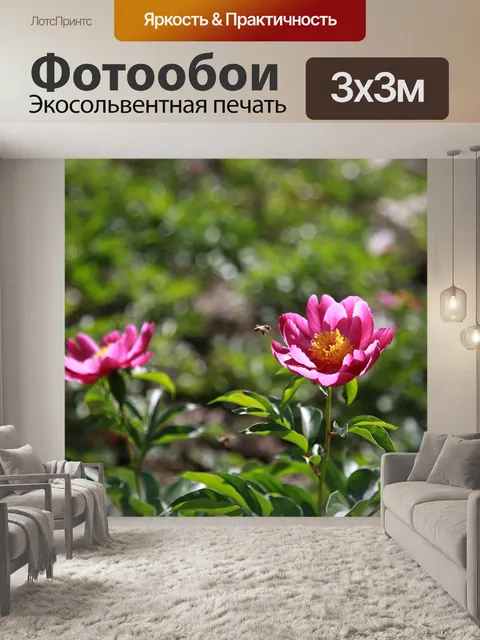 Фотообои Пион