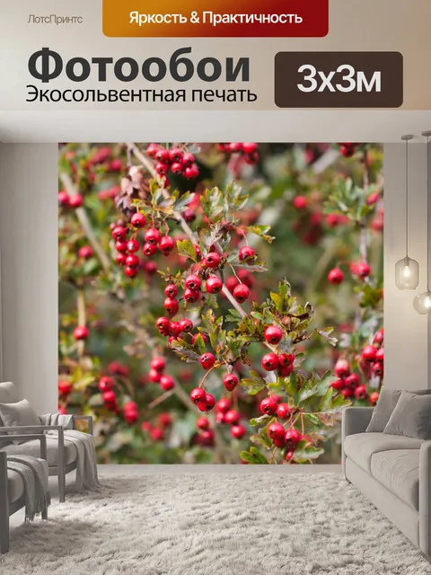 Фотообои Красные ягоды Фон