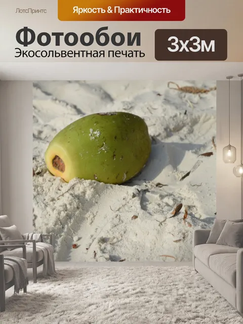 Фотообои Кокос