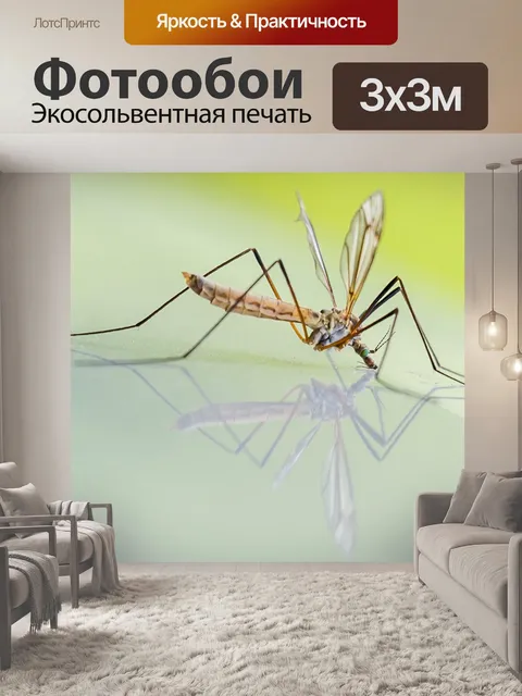 Фотообои Комар