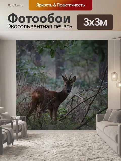 Фотообои Олень