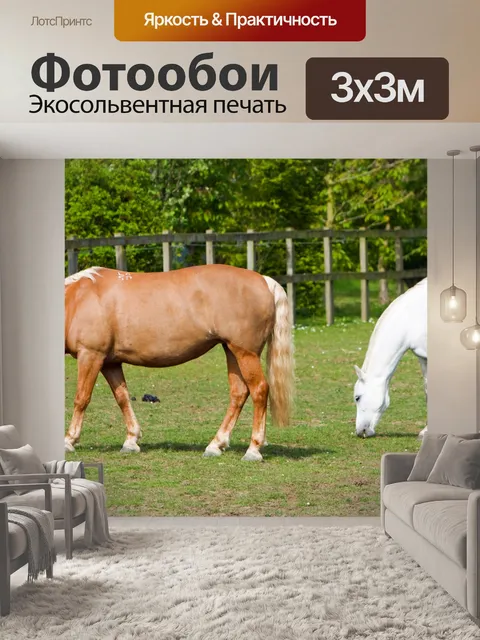 Фотообои Выпас лошадей