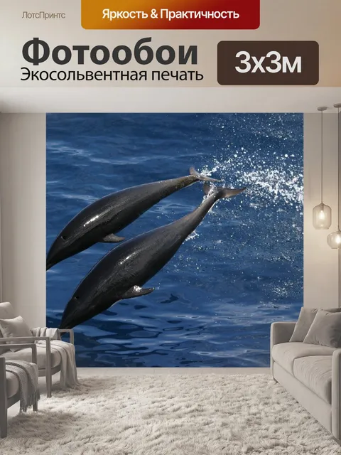Фотообои Дельфин северной китов