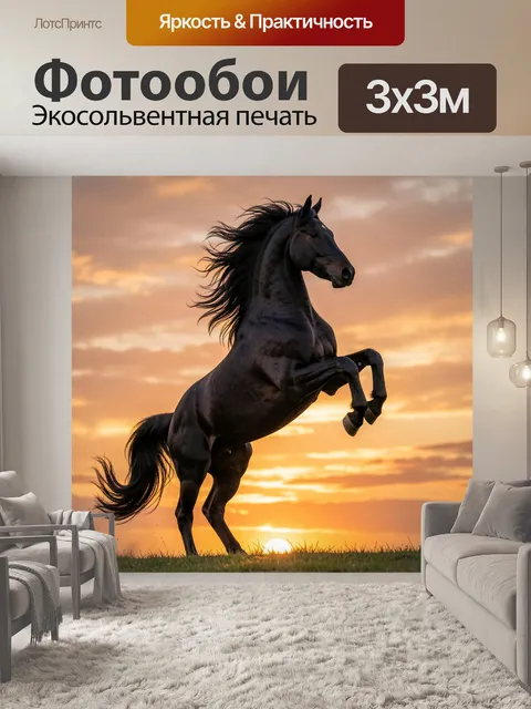 Фотообои Черный конь на закате